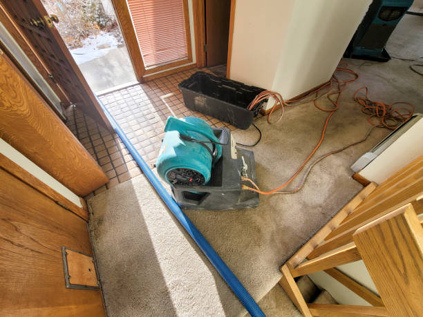 Best Local water damage restoration  in Holyoke, MA