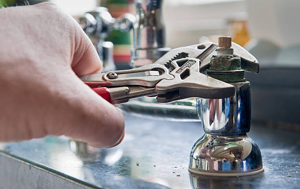 Best Mold removal after water damage  in Holyoke, MA