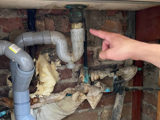 Best Residential water damage restoration  in Holyoke, MA