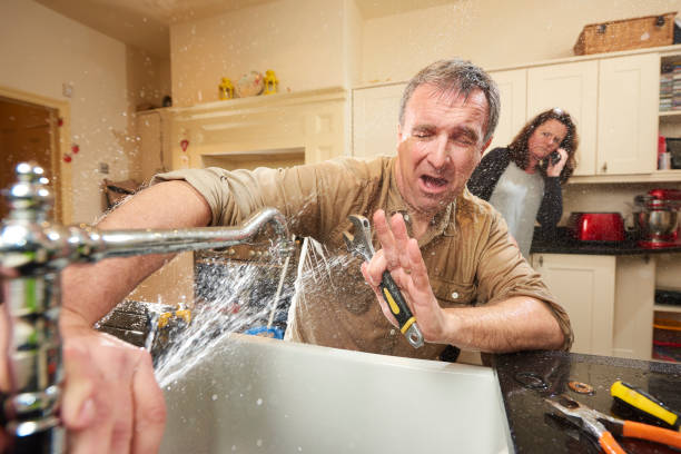 Best Professional water damage repair  in Holyoke, MA